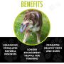 Hero Outer Armor, Fetch Dog Toy, Floats & Squeaks