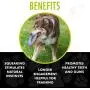 Hero Outer Armor, Fetch Dog Toy, Floats & Squeaks