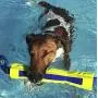 Nerf Dog 12in TPR/Foam Megaton Competition Stick - Blue/Green Nerf Dog 12in TPR/Foam Megaton Competition Stick - Blue/Green