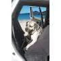 2PET Dog Seatbelt Strap Adjustable Dog Seat Belt for All Breeds – Use with Harness – All Car Makes – Carabiner Clip Leash – Green and Black 2PET Dog Seatbelt Strap Adjustable Dog Seat Belt for All Breeds – Use with Harness – All Car Makes – Carabiner Clip Leash – Green and Black