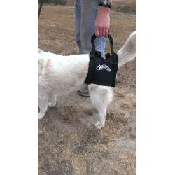 Dog Lift Support Harness:Airlift One Large Walkabout Support Sling