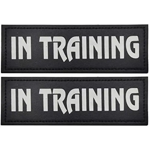 CREATOR 2 Pack Dog Patches with Hook Backing 2 x 6 Inch -Service Dog, Service Dog in Training, in Training for Harnesses, Collars, Leashes CREATOR 2 Pack Dog Patches with Hook Backing 2 x 6 Inch -Service Dog, Service Dog in Training, in Training for Harnesses, Collars, Leashes