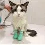 MJEMS Anti-Scratch Cat Foot Shoes Scratch Guards Cat Boots Silicone Pet Grooming Scratching Restraint Booties Kitten Cat Claws Cover for Home Bathing, Shaving Checking Treatment(4 PCS) MJEMS Anti-Scratch Cat Foot Shoes Scratch Guards Cat Boots Silicone Pet Grooming Scratching Restraint Booties Kitten Cat Claws Cover for Home Bathing, Shaving Checking Treatment(4 PCS)