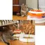 Ferplast Vertigo Cat Toy, White Ferplast Vertigo Cat Toy, White