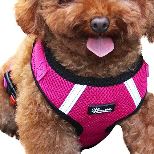 Adjustable and Comfortable Step-in Air Pet Harness for Small or Medium Dogs and Cat by Oleh-Oleh (S,Rose Red)