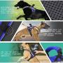 PAWDAY Dog Harness No-Pull Training Pet Harness Adjustable Reflective Breathable Outdoor Pet Vest with Handle for Dogs Easy Control for Small Medium Energetic Heavy Fierce Dog