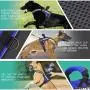 PAWDAY Dog Harness No-Pull Training Pet Harness Adjustable Reflective Breathable Outdoor Pet Vest with Handle for Dogs Easy Control for Small Medium Energetic Heavy Fierce Dog PAWDAY Dog Harness No-Pull Training Pet Harness Adjustable Reflective Breathable Outdoor Pet Vest with Handle for Dogs Easy Control for Small Medium Energetic Heavy Fierce Dog