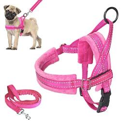 Lukovee Walking Dog Harness and Leash, Heavy Duty Adjustable Puppy Harness Soft Padded Reflective Vest Harness Anti-Twist 4FT Pet Lead Quick Fit Lightweight for Small Dog Cat