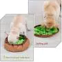 ISENVO Updated Pet Snuffle Mat for Dogs Interactive Feed Game Stress Relief Encourages Dogs Natural Foraging Skills and Nose Work Training Slow Eat Bowl Treat Dispenser Puzzle Toys Dog Gifts ISENVO Updated Pet Snuffle Mat for Dogs Interactive Feed Game Stress Relief Encourages Dogs Natural Foraging Skills and Nose Work Training Slow Eat Bowl Treat Dispenser Puzzle Toys Dog Gifts