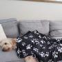 LuckyStone Warm Dog Cat Puppy Kitten Fleece Blankets Sleep Mat Pad Bed Cover with Paw Print Cushion Soft Pet Blanket for Small Animals