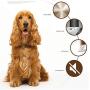 Petilleur Rechargeable Pet Hair Grooming Clippers for Cats and Dogs with Replaceable Ceramic Head, Pet Grooming Kit with Hair Scissor,Professional Electric Pet Clipper,Low Noise Pet Hair Trimmer
