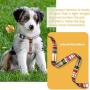 WACLTE Puppy Harness with Leash - Escape Proof Safe Easy Walking Plaid Cute Small Dog Harness - Adjustable Soft Nylon Comfortable for Doggie - Great for Training/Hiking/Running