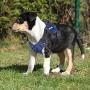 MUMUPET Dog Harness No Pull Pet Harness Adjustable Service Dog Vest for All Dogs Easy Control, 3M Reflective Oxford Material Vest Two Metal Tabs Behind The Chest Rings No More Tugging or Choking