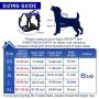 WINSEE Dog Harness No Pull, Pet Harnesses with Dog Collar, Adjustable Reflective Oxford Outdoor Vest, Front/Back Leash Clips for Small, Medium, Large, Extra Large Dogs, Easy Control Handle for Walking