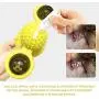 biliten Cat Toy Cat Brush Cat Self Groomer Pet Toy Scratching Tickle Pet Hair Removal Massage biliten Cat Toy Cat Brush Cat Self Groomer Pet Toy Scratching Tickle Pet Hair Removal Massage