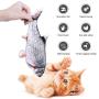 CovertSafe 2-Pack Moving Cat Kicker Fish Toy,Moving Fish Cat Toy,Wiggle Fish Catnip Toys, Interactive Cat Toy, Realistic Flopping Fish, Fun Toy for Cat Exercise