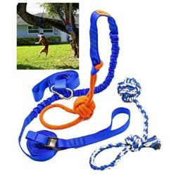 Fenidog Outdoor Bungee Hanging Dog Toy, Interactive Tether Tug Toy for Pitbull & Small to Large Dogs, Ideal for Exercise & Solo Play, Play Tug War, Extra Durable & Safe with 2 Chew Rope Toys