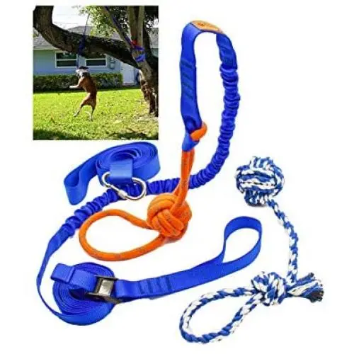 Fenidog Outdoor Bungee Hanging Dog Toy, Interactive Tether Tug Toy for Pitbull & Small to Large Dogs, Ideal for Exercise & Solo Play, Play Tug War, Extra Durable & Safe with 2 Chew Rope Toys