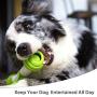 PETGEEK Automatic Dog Bone Toy, Smart Interactive Pet Toys for boredoms, Electronic Dog Self Entertainment Toy, Safe & Durable Material