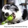 PETGEEK Automatic Dog Bone Toy, Smart Interactive Pet Toys for boredoms, Electronic Dog Self Entertainment Toy, Safe & Durable Material PETGEEK Automatic Dog Bone Toy, Smart Interactive Pet Toys for boredoms, Electronic Dog Self Entertainment Toy, Safe & Durable Material