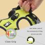 OLizee Reflective Nylon No-Pull Dog Harness and Training Leash Set Padded Durable Adjustable(S, Green Set)