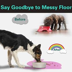 PINCTROT Pet Feeding Mat, Bowl Placemat for Cats Dogs, Tray with Raised Edges, Generous Size for Water Fountain Station, Food Grade Silicone