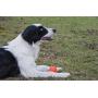 2-Pack Solid Rubber Dog Balls,Dogs Solid Rubber Bouncy Ball Bite Resistant and Indestructible Dog Training Ball,Pet Solid Rubber Bouncy Ball 2-Pack Solid Rubber Dog Balls,Dogs Solid Rubber Bouncy Ball Bite Resistant and Indestructible Dog Training Ball,Pet Solid Rubber Bouncy Ball