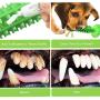 Ceetpupe Squeaky Chew Toothbrush Dog Toy Sticks for Puppy Small Medium Large Dogs Teeth Cleaning