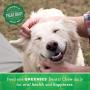 Greenies Blueberry Natural Dental Dog Treats, 12oz Packs