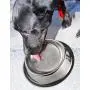 Juvale Stainless Steel Dog Bowls - Set of 2 Large Pet Food and Water Dish Bowls, Ideal for Large Dogs - Silver, 10 Inches Diameter Juvale Stainless Steel Dog Bowls - Set of 2 Large Pet Food and Water Dish Bowls, Ideal for Large Dogs - Silver, 10 Inches Diameter