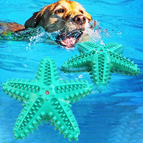 Dog Float Toy Dog Squeaky Toy Durable Doggy Chew Toothbrush Puppy Toys Dogs Supplies Interactive Starfish- Shaped Pet Molar Supply with New Material (Turquoise Starfish)