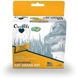 Ourpets Kitty Cat Growable Grass Kit