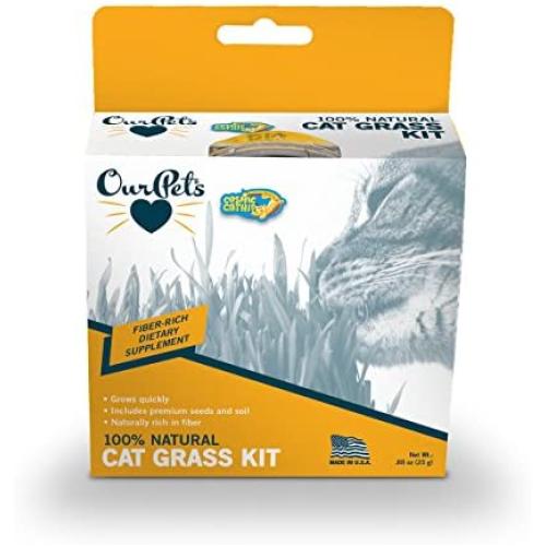 Ourpets Kitty Cat Growable Grass Kit