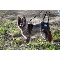 Dog Lift/Support Harness: Airlift One (Medium Small) Walkabout Back Harness