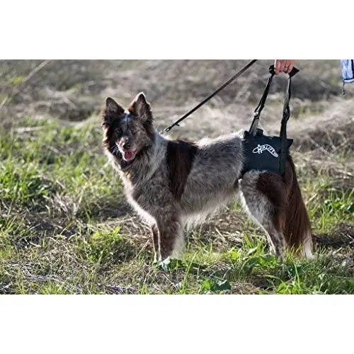 Dog Lift/Support Harness: Airlift One (Medium Small) Walkabout Back Harness Dog Lift/Support Harness: Airlift One (Medium Small) Walkabout Back Harness