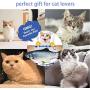 Ddzmz Cat Toys for Indoor Cats Interactive, Cat Kicker Fish Realistic Plush Simulation Electric Wagging Fish Refillable Catnip Cat Toys Interactive Pets Pillow Chew Bite Kick for Cat Kitten Kitty 11''