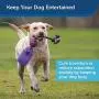 Premier Pet PetSafe Busy Buddy Tug-A-Jug Meal-Dispensing Dog Toy Use with Kibble or Treats Premier Pet PetSafe Busy Buddy Tug-A-Jug Meal-Dispensing Dog Toy Use with Kibble or Treats