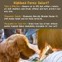 Highland Farms Select Deshedding Grooming Tool for Dogs, Cats & Horses, Ergonomic Design Wood Groom Brush, Professional Pet Groomer, Painlessly Remove for Short & Long Hair, Fur & Dirt