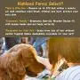 Highland Farms Select Deshedding Grooming Tool for Dogs, Cats & Horses, Ergonomic Design Wood Groom Brush, Professional Pet Groomer, Painlessly Remove for Short & Long Hair, Fur & Dirt