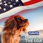 Davis KetoHexidine Shampoo Pets, 12 oz