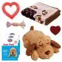 Snuggle Puppy - New Puppy Starter Kit