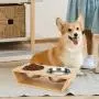 Wantryapet Elevated Dog Cat Dog Feeder with 2 Stainless Steel Bowls, Bamboo Raised Stand Pet Feeder Perfect for Small Dogs & Cats Wantryapet Elevated Dog Cat Dog Feeder with 2 Stainless Steel Bowls, Bamboo Raised Stand Pet Feeder Perfect for Small Dogs & Cats