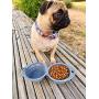 Imperio Moncada Collapsible Dog Bowl, Portable Dog Bowl
