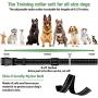 Dog Training Collar, Rechargeable Dogs Shock Collar Set with Remote, w/3 Training Modes, Beep, 8 Vibration Levels& 16 Shock Levels, Waterproof Adjustable Bark Collar Fit for Small Medium Large Dogs