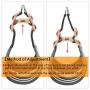 Wealer Dog Harness Leash Set for Small and Medium Dogs Adjustable Soft Training Handle All Weather Mesh Pet Harness