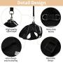 Lenlorry Escape Proof Cat Harness with Leash Collar Set Reflective Adjustable Soft Mesh Step-in Walking Vest Harness for Small Medium Large Cat Dog Rabbit Outdoor Walking