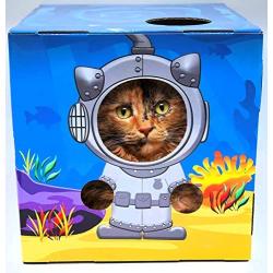 DoyenCat FunBox with Scratching Board