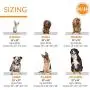 K&H Pet Products Self-Warming Pet Crate Pad