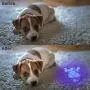 Flashlight BlackLight, 3-in-1 51 LED 365nM 380nM 395nM Blacklight Ultraviolet Flashlight for Pet Stains, Handheld Blacklight for Scorpion