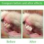 HESHPAWS Cat Teeth Cleaning Toys,Cat Toothbrush Toy,Interactive Cat Catnip Toys for Chewing,Fish Lobster Shape Toothbrush Chewing Pet Toy,Natural Rubber Teeth Cleaning Toys for Cats
